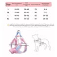 thumbnail image 3 of Bowknot Design Dog Harness with Matching Plaid Leash for Secure and Comfortable Walking Control, 3 of 4