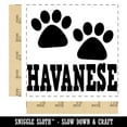 thumbnail image 2 of Havanese Dog Paw Prints Fun Text Square Rubber Stamp Stamping Scrapbooking Crafting - Small 1.25in, 2 of 7