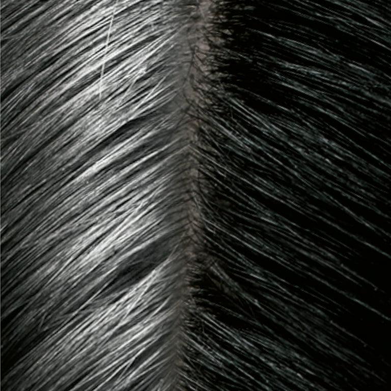 No Gray Quick Fix Hair Color, Unisex Waterproof Roots Touch-Up for