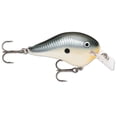 thumbnail image 1 of Rapala DT Fat 01 Shallow Square Bill Crankbait, 1 of 1