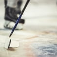 thumbnail image 2 of Puck Hockey Hockey de 2 piezas Puck Hockey Hockey sobre hielo Suministros Puck de hockey sobre hielo, 2 of 8