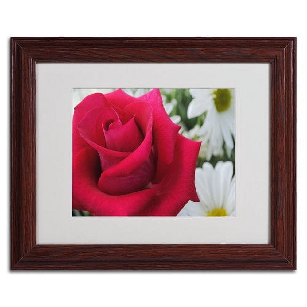 Trademark Fine Art "Pristine" by Monica Fleet, Wood Frame