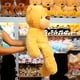 thumbnail image 5 of PELUCHERIA - Oso de Peluche Fuzzy Sand 50 cm Oso Osito Grande, 5 of 5