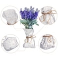 thumbnail image 4 of Florero de vidrio transparente irregular maceta de arte hidropónico - transparente, 4 of 5