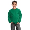 thumbnail image 1 of Port & Company? - Sudadera de cuello redondo Core Fleece para j?venes. PC90Y Puerto & Compa??a PC90Y, 1 of 1