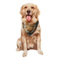 thumbnail image 5 of Naloa Palatial Style Flower Rabbit Dog Bandanas 1PC Washable Triangle Dog Scarfs Premium Durable Fabric, for Small Medium Large Dogs and Cats, 5 of 6