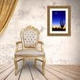 thumbnail image 3 of Taylor, Douglas 13x18 Gold Ornate Wood Framed with Double Matting Museum Art Print Titled - Winter Earthshine, 3 of 4
