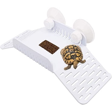 Stgfyxgs Aquatic Reptile Basking Tortoise Resting Terrace with Ramp ...