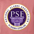 thumbnail image 3 of CafePress - Pi Sigma Epsilon National Alumni Association T Shirt - Womens Comfort Colors® Shirt, 3 of 4