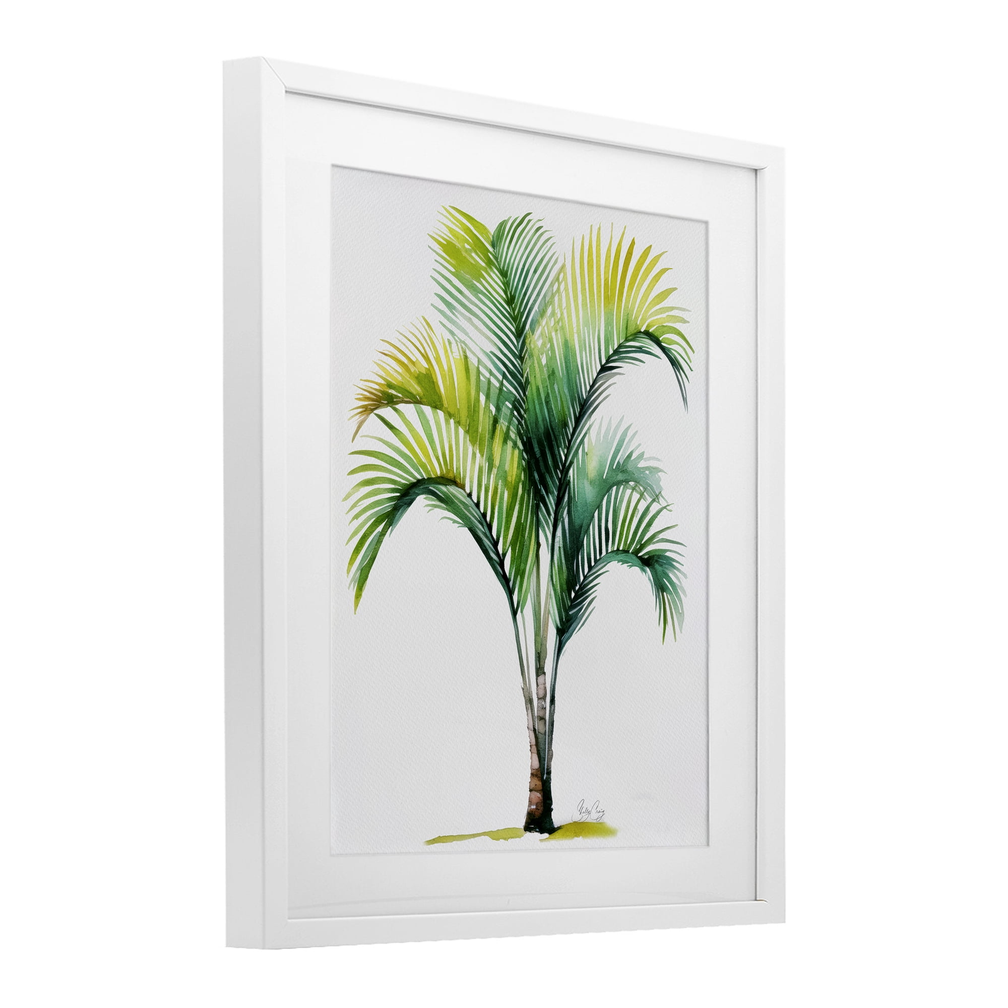 Stupell Industries Coastal Canopy Palm Tree White Framed Print Under Glass, design by Shelly Craig