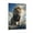Frame-style, variant on Lion of Judah Wall Art Lion Wearing Crown Christ Lion Poster Picture Print Wall Art Poster Painting Canvas Posters Artworks Gift Room Aesthetic 20x30inch(50x75cm)
