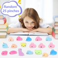 thumbnail image 3 of 25pcs Luminous Animal Fidget Toy Variability And Recovery Soft Squeeze Toys For Adults Kids Gift, 3 of 3