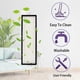 thumbnail image 2 of For Roborock Qrevo Curv / P20 Pro Robot Vacuum Cleaner Hepa Filter, 2 of 5