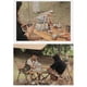 thumbnail image 3 of Cesta de frutas de hierro para cocina, almacenamiento al aire libre, frutas portátiles, cesta multifuncional de doble capa, Hol Hy, 3 of 5