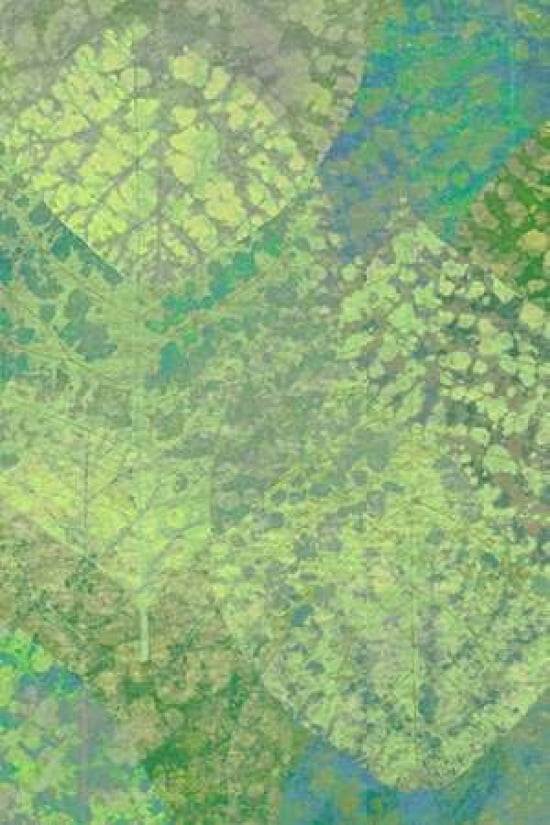 Leaf Pattern 1-18 C