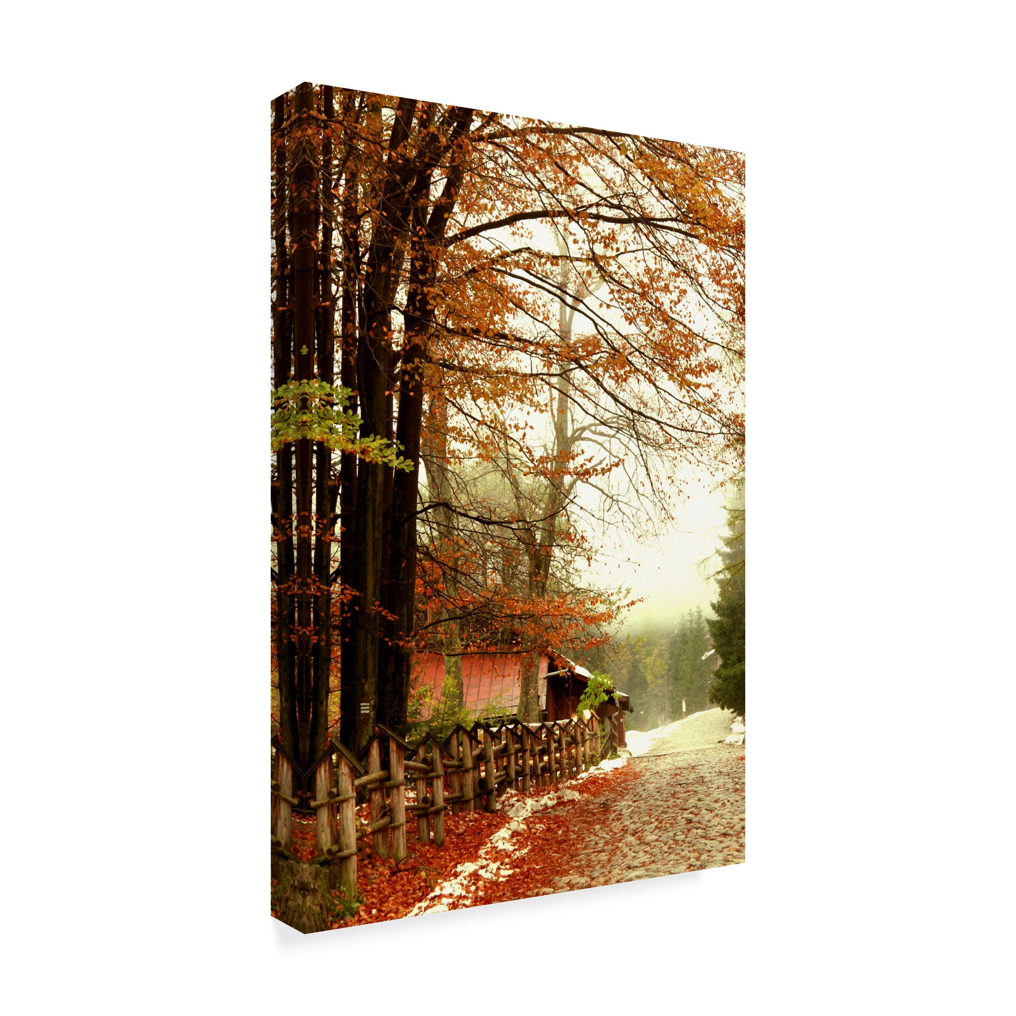 Trademark Fine Art 'Street Of Seasons' Canvas Art by Incredi