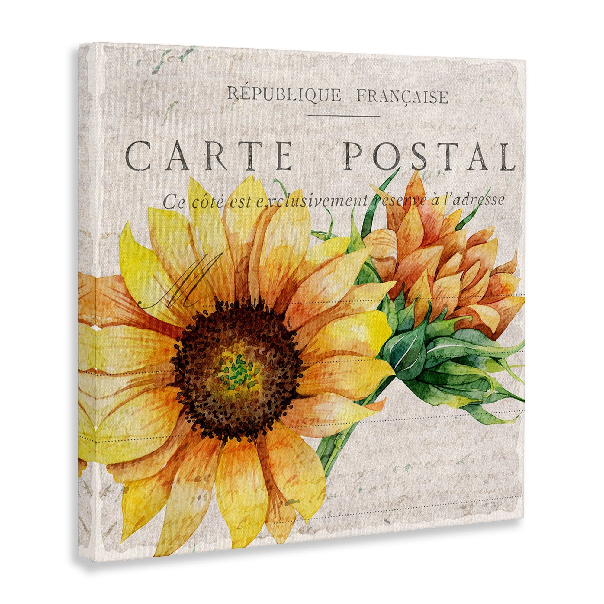 Vintage French Sunflower Postcard Floral Illustration Botanical & Floral Gallery-Wrapped Canvas Print Wall Art, 17x17