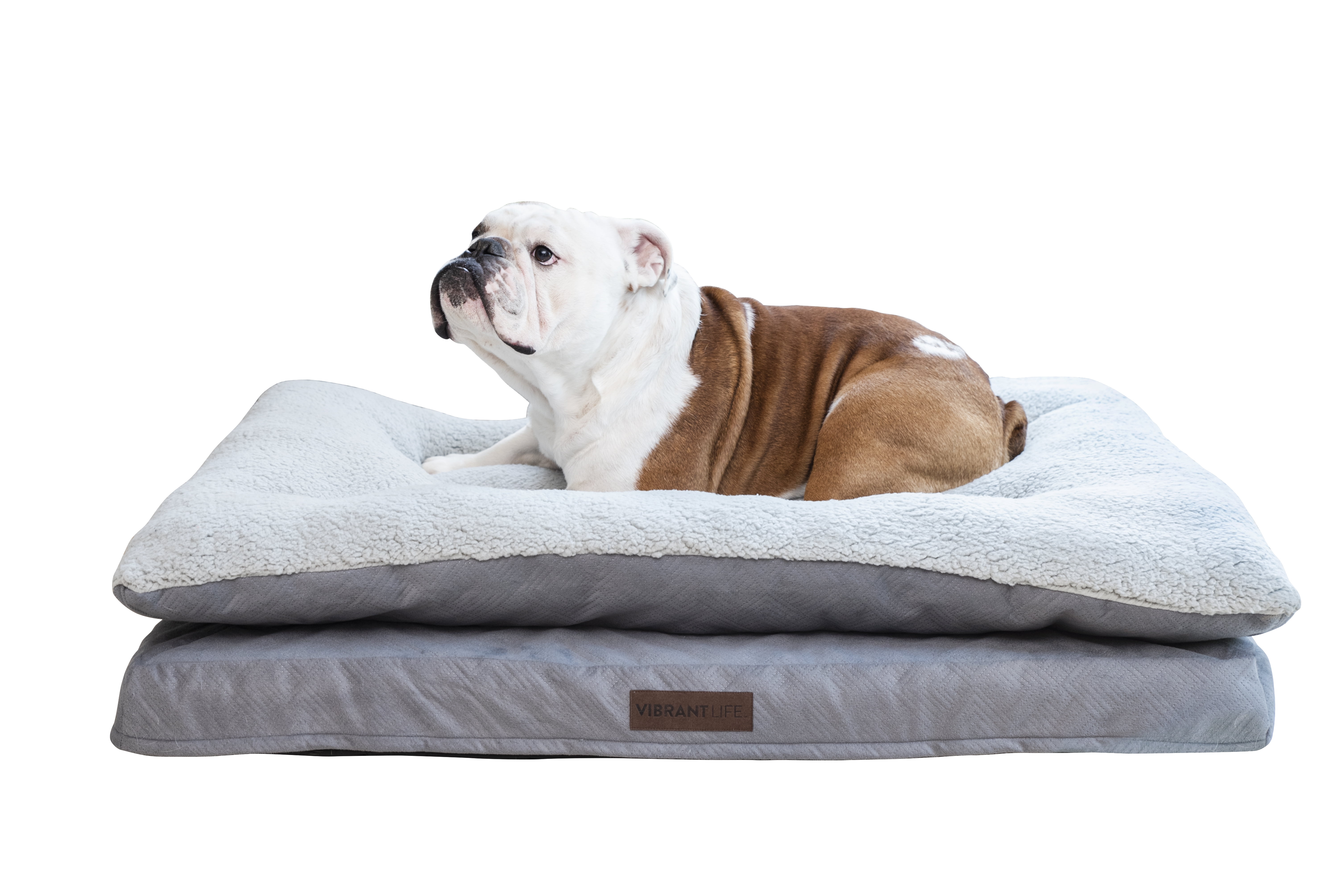 Vibrant Life Quilted Orthopedic Pillow Top Pet Bed, X-Large, Gray - Walmart.com - Walmart.com