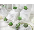 thumbnail image 5 of Der Rose 4.75" Artificial Succulents Plant in Pot (6 Count), 5 of 8