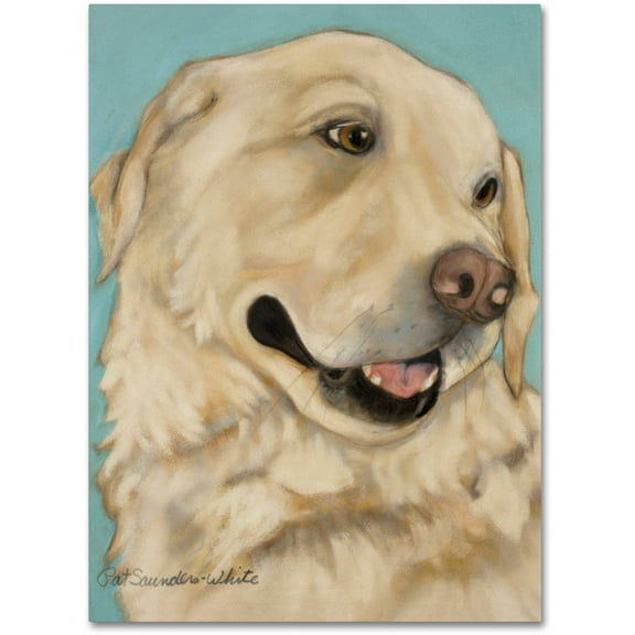 Trademark Fine Art "Jasper" Canvas Art by Pat Saunders-White