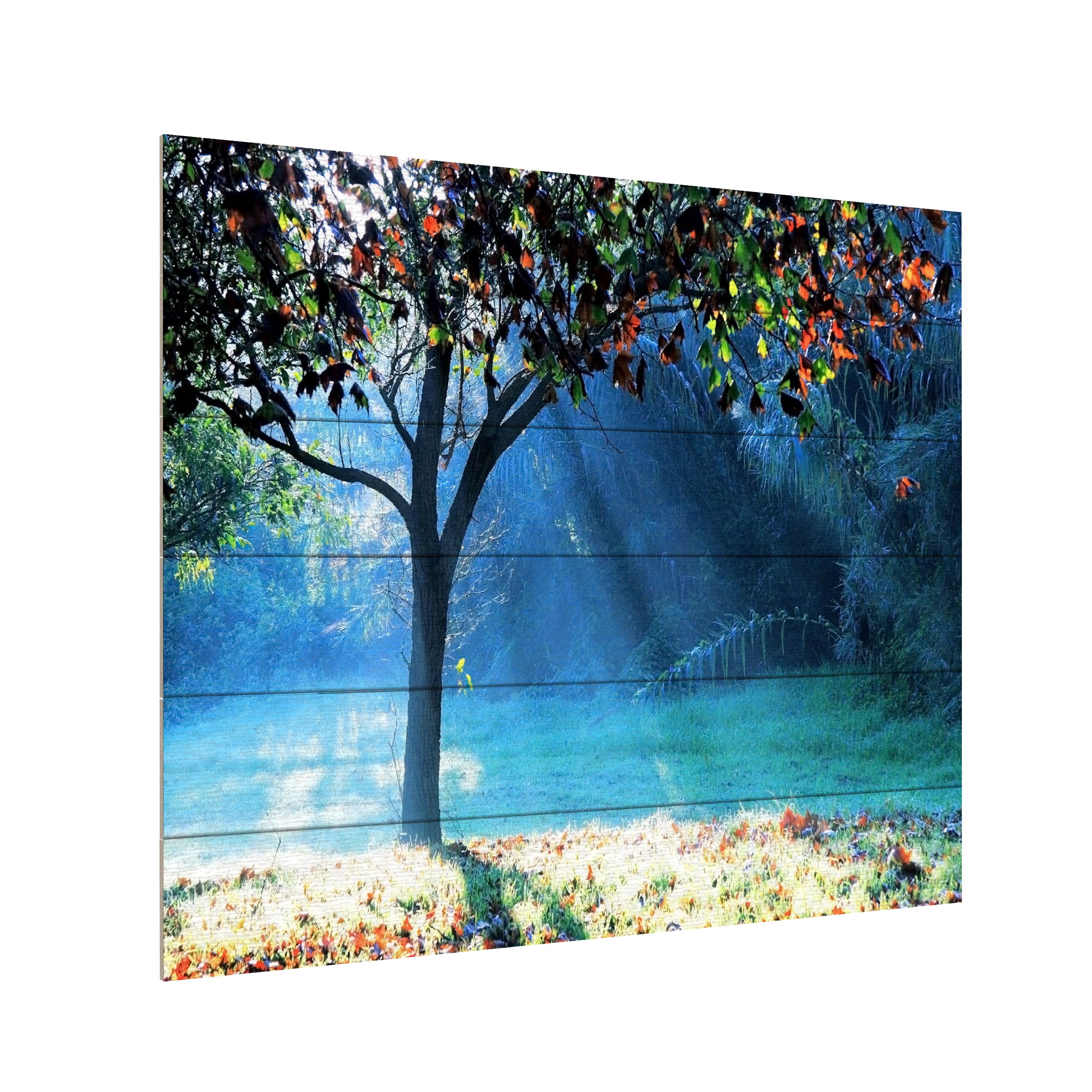 Beata Czyzowska Young 'Rays of Hope' Wood Slat Art