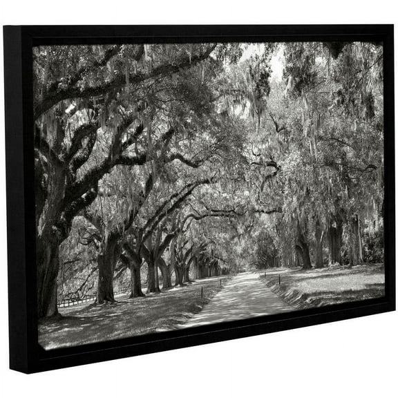 Steve Ainsworth "Live Oak Avenue" Floater-Framed Gallery-Wrapped Canvas