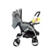 thumbnail image 2 of Carriola Reversible Angelin Baby  IS555J con juguetero y mosquitero Gris, 2 of 6