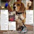 thumbnail image 3 of Retractable Dog Leash | Heavy Duty Pet Walking Leash with Anti-Slip Handle | One Button Brake, Pause & Lock - Suitable for Dogs & Cats, 3 of 38