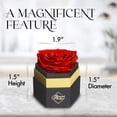 thumbnail image 4 of GLAMOUR BOUTIQUE Hexagon Single Forever Red Rose Box - Preserved Roses in a Box, Immortal Roses in a Box That Last A Year - Eternal Rose Preserved Flowers for Delivery Prime Mothers & Valentines Day, 4 of 9