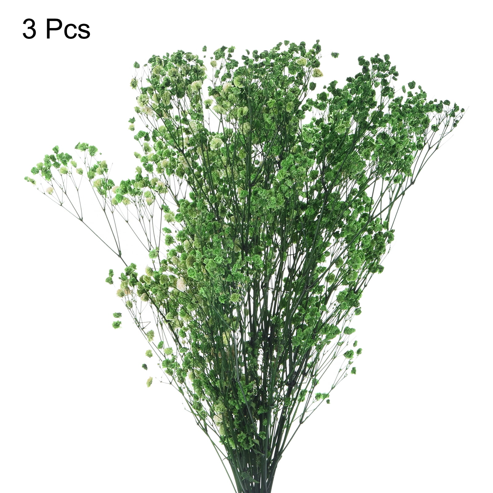 Uxcell Dried Baby's Breath Flowers 17 Inch Gypsophila Green Natural Baby's Breath Branches for Wedding Party Home Decoration 3 Pcs