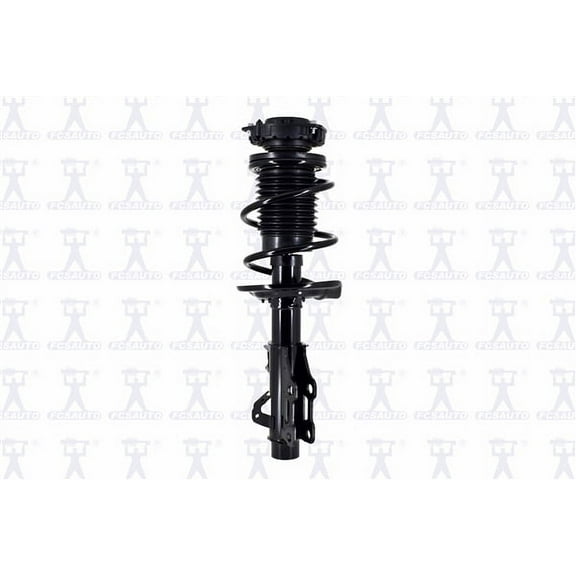 Suspension Strut and Coil Spring Assembly