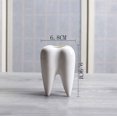 thumbnail image 5 of Macetas blancas con bonitos dientes, macetas con dientes suculentos, macetas creativas de cerámica para Cactus, Mini contenedores de plantas y flores, 2 uds., 5 of 5