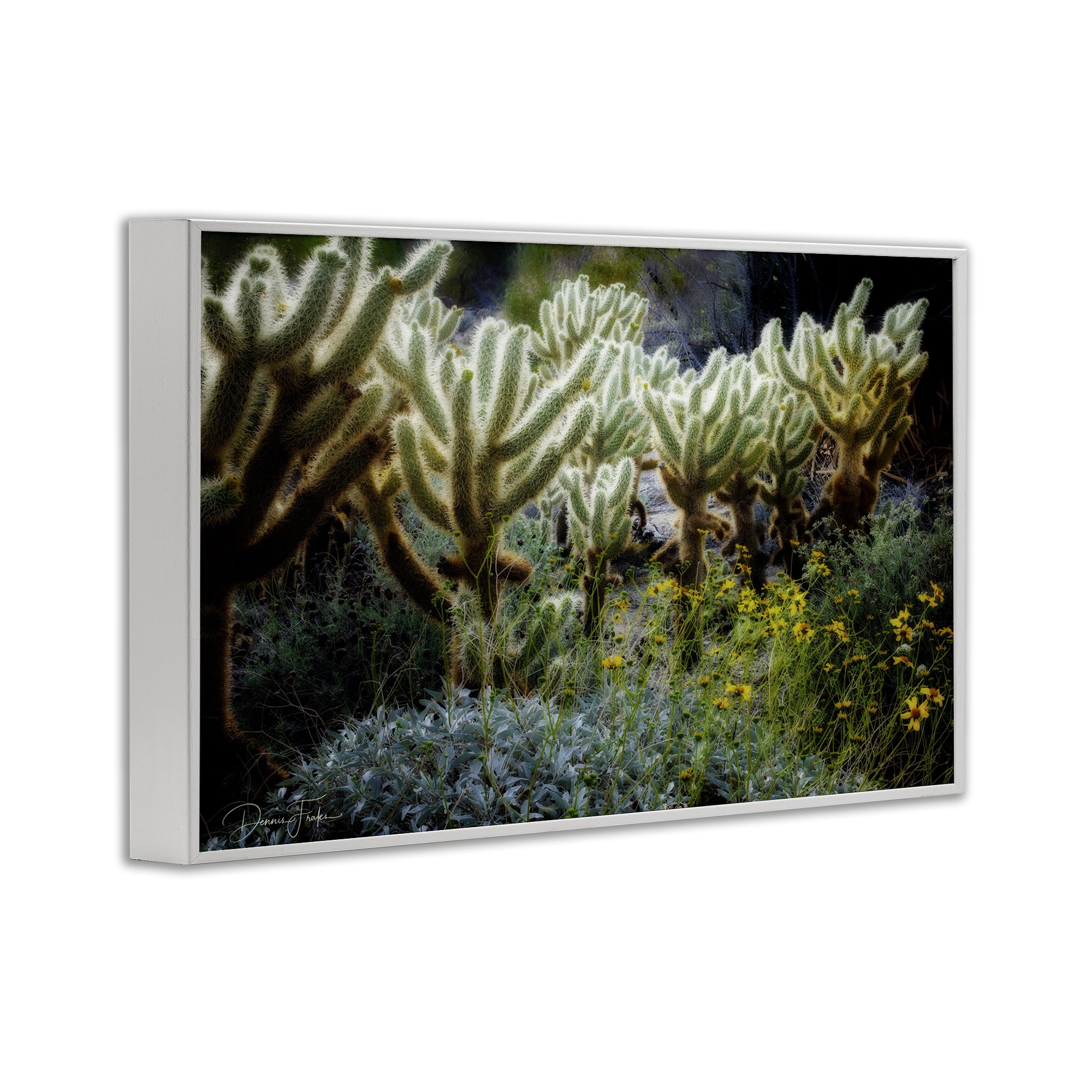 Stupell Industries Desert Cactus Forest Landscape Photography White Framed Art Print Wall Art, 18 x 12