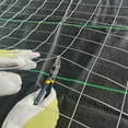 thumbnail image 3 of MTB Galvanized Welded Wire Mesh Garden Economy Fence 48" x25'-2"x3" 16GA…, 3 of 3