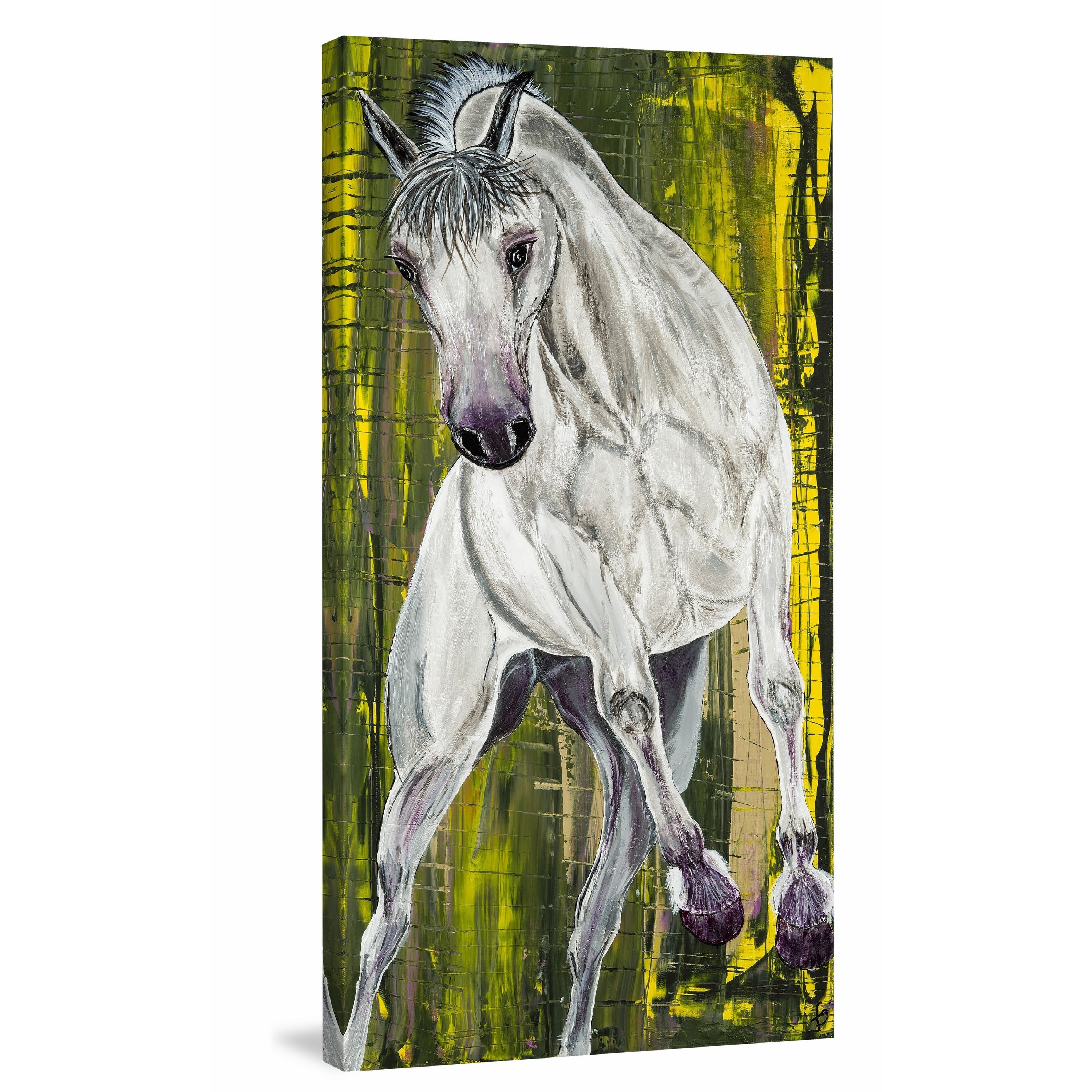 "Balthazar Lipizzan Horse" Painting Print on Wrapped Canvas