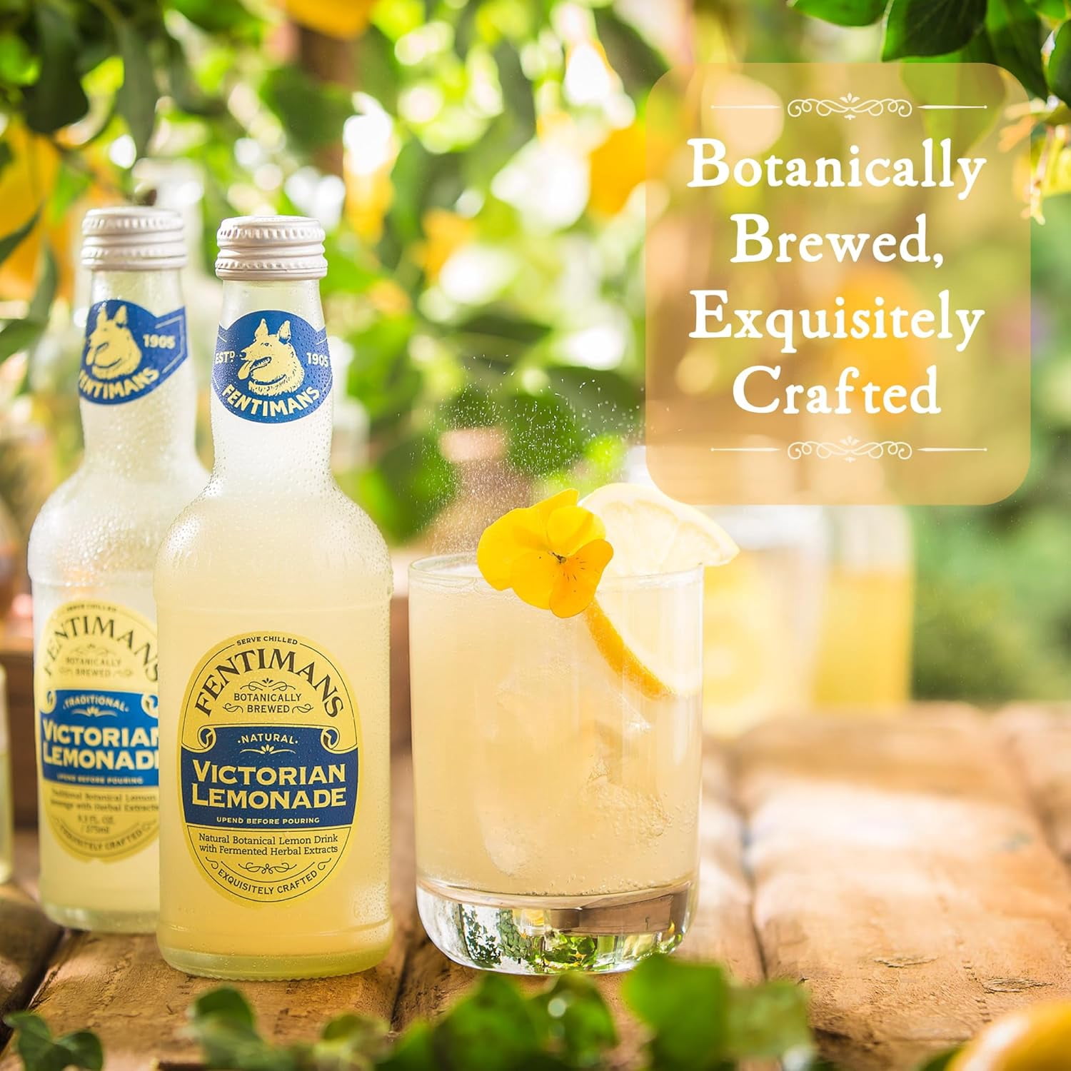 Fentimans Sparkling Victorian Lemonade - Lemon Sparkling Water, Craft Soda - 9.3 Fl Oz (Pack of 12)