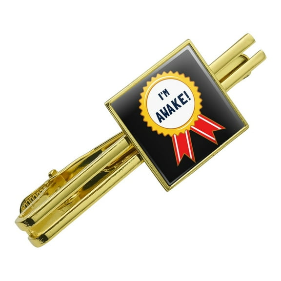 I'm Awake Award Funny Humor Square Tie Bar Clip Clasp Tack- Silver or Gold