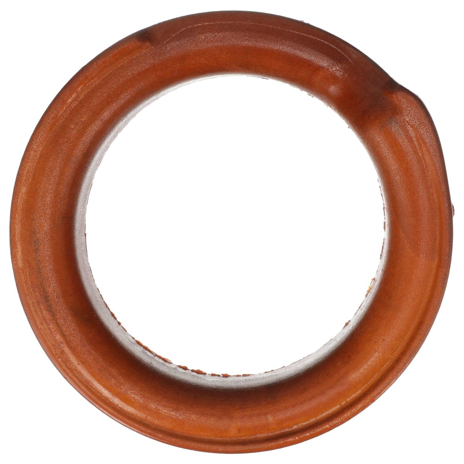 Delphi TC6474 Suspension Coil Spring Seat