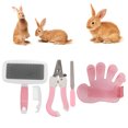thumbnail image 3 of Small Pet Grooming Set, Interactive Hamster Cleaning Grooming Kit  For Small Animal S ,S Blue,L ,L Blue, 3 of 8