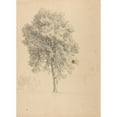 thumbnail image 2 of Jacques-Raymond Brascassat 14x18 Black Ornate Wood Framed Double Matted Museum Art Print Titled - Tree Study., 2 of 5