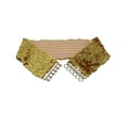 thumbnail image 1 of Jumpingount Lentejuelas brillantes cinturón de cintura cinturones brillantes vestido Correa estirable pretina decoración de ropa vestidor para fiesta Ropa, zapatos y accesorios Miscelánea Oro Jumpingount AP013219-03, 1 of 6