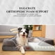 thumbnail image 3 of Cama ortopédica para perros Comfort Expression Sofá de espuma para perros grandes XL, 3 of 5