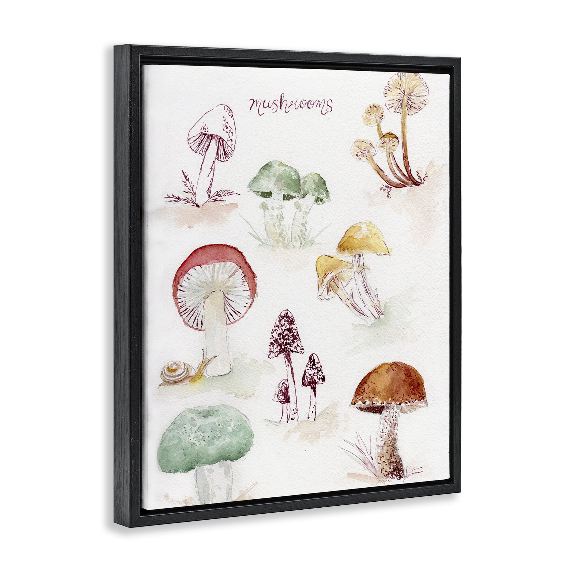 Stupell Industries Types Of Mushrooms Botanical & Floral Painting Black Floater Framed Art Print Wall Art, 25 x 31