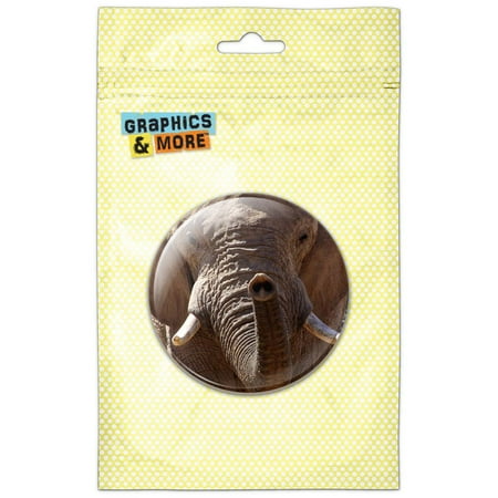 

Africa African Elephant Refrigerator Button Magnet