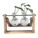 thumbnail image 2 of Jarrón de madera transparente con forma de planta hidropónica creativa, pequeño recipiente para plantas frescas, decoración moderna para sala de estar, 2 of 5