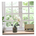 thumbnail image 3 of Arreglo Orquídea Artificiales Decoración 43 cm Malubero, Blanca, 3 of 5