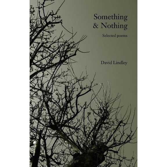 Something & Nothing (Paperback)