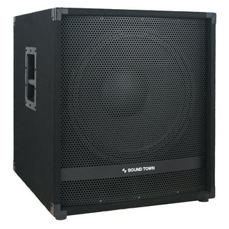 Seismic Audio Professional Equipment Package: Pair of 15