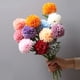 thumbnail image 4 of Yuarrent Flor de simulación de buena sensación de mano de 10 piezas para decoración de hogar o fiesta apariencia realista Artificial Decoración champán, 4 of 6