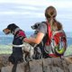 thumbnail image 4 of Dog Poop Bag Holder, Pet Garbage Bag Dispenser Holder Leash Attachment, 600-yuhao, 4 of 4